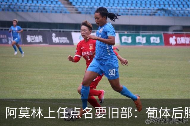 阿莫林上任点名要旧部：葡体后腰卖4500万，曼联放弃之人想转会